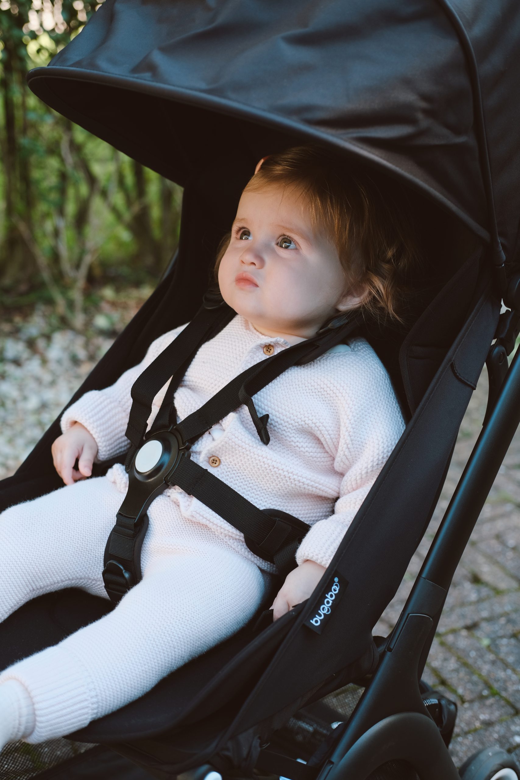 win bugaboo butterfly, louis victoria