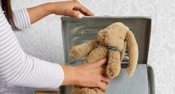 Sterilisator amazon